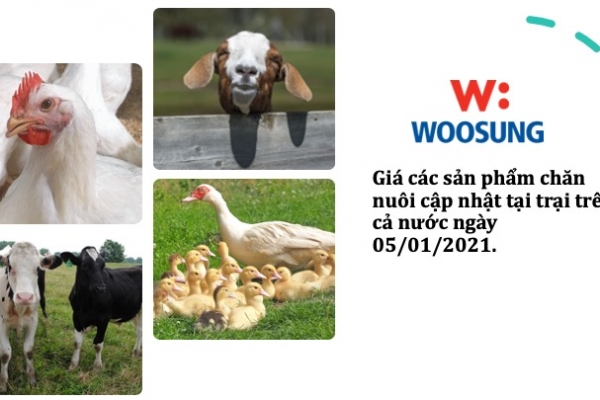 Giá các sản phẩm chăn nuôi cập nhật tại trại trên cả nước ngày 05/01/2021.