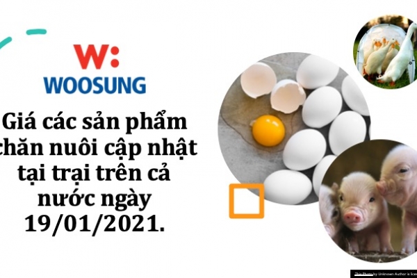 Giá các sản phẩm chăn nuôi cập nhật tại trại trên cả nước ngày 19/01/2021.