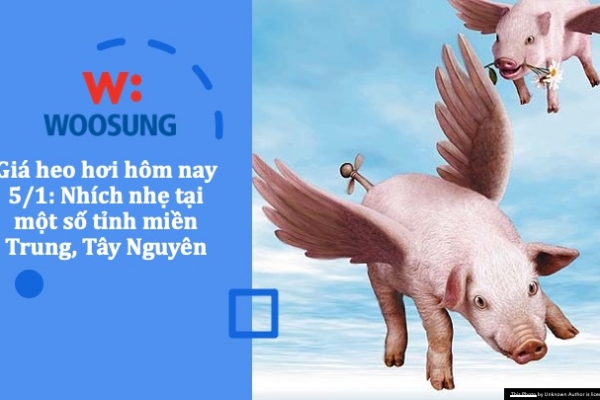 Giá heo hơi hôm nay 5/1: Nhích nhẹ tại một số tỉnh miền Trung, Tây Nguyên