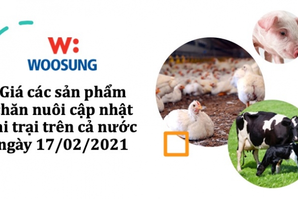 Giá các sản phẩm chăn nuôi cập nhật tại trại trên cả nước ngày 17/02/2021
