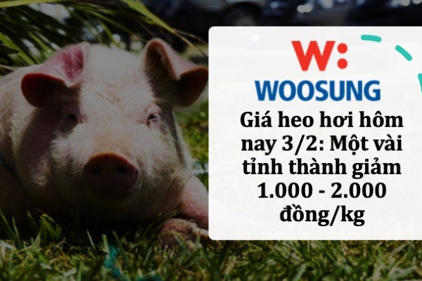 Giá heo hơi hôm nay 3/2: Một vài tỉnh thành giảm 1.000 - 2.000 đồng/kg