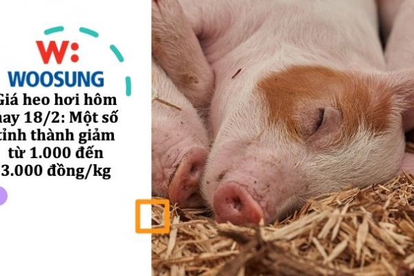 Giá heo hơi hôm nay 18/2: Một số tỉnh thành giảm từ 1.000 đến 3.000 đồng/kg