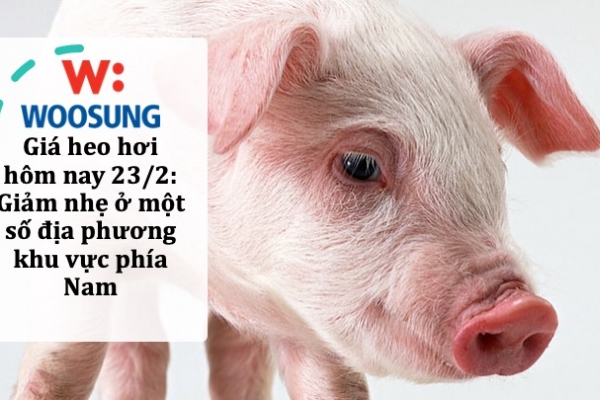 Giá heo hơi hôm nay 23/2: Giảm nhẹ ở một số địa phương khu vực phía Nam
