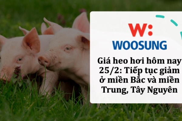 Giá heo hơi hôm nay 25/2: Tiếp tục giảm ở miền Bắc và miền Trung, Tây Nguyên