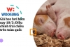 Giá heo hơi hôm nay 10/3: Điều chỉnh trái chiều trên toàn quốc