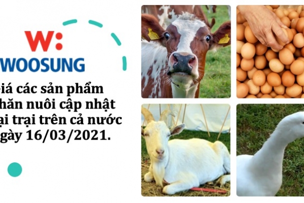 Giá các sản phẩm chăn nuôi cập nhật tại trại trên cả nước ngày 16/03/2021