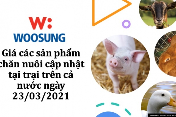 Giá các sản phẩm chăn nuôi cập nhật tại trại trên cả nước ngày 23/03/2021