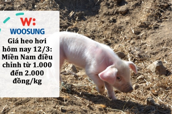 Giá heo hơi hôm nay 12/3: Miền Nam điều chỉnh từ 1.000 đến 2.000 đồng/kg