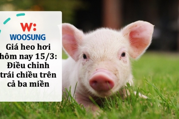 Giá heo hơi hôm nay 15/3: Điều chỉnh trái chiều trên cả ba miền