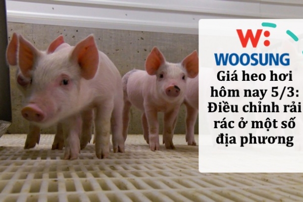 Giá heo hơi hôm nay 5/3: Điều chỉnh rải rác ở một số địa phương