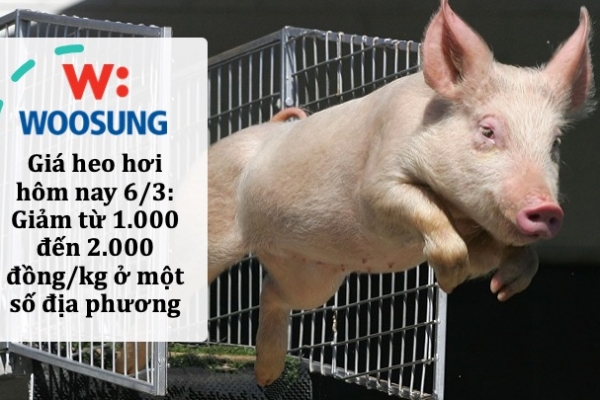 Giá heo hơi hôm nay 6/3: Giảm từ 1.000 đến 2.000 đồng/kg ở một số địa phương