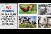 GIÁ SẢN PHẨM CHĂN NUÔI (TẠI TRẠI) CẢ NƯỚC NGÀY 25/05/2021