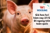 Giá heo hơi hôm nay 27/5: Đi ngang trên toàn quốc