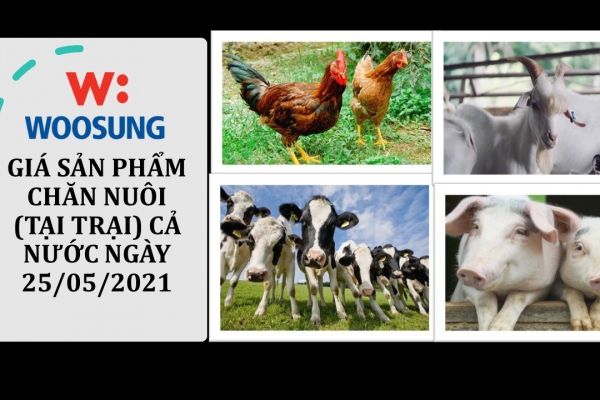 GIÁ SẢN PHẨM CHĂN NUÔI (TẠI TRẠI) CẢ NƯỚC NGÀY 25/05/2021