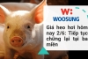 Giá heo hơi hôm nay 2/6: Tiếp tục chững lại tại ba miền