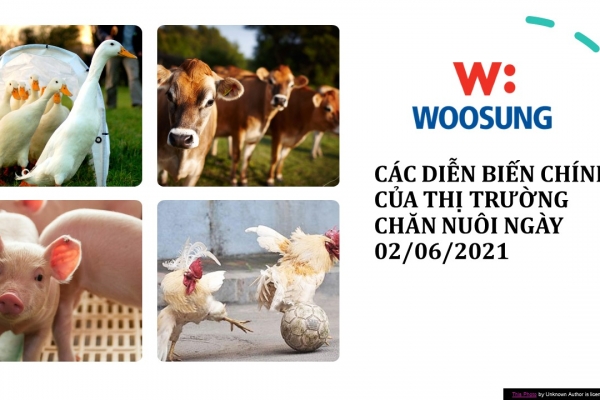 CÁC DIỄN BIẾN CHÍNH CỦA THỊ TRƯỜNG CHĂN NUÔI NGÀY 02/06/2021
