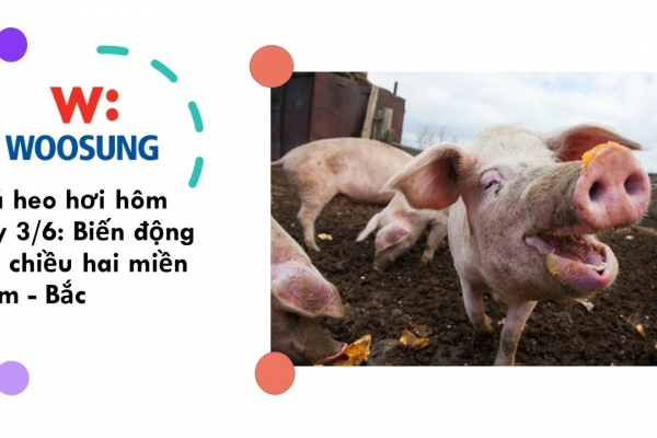 Giá heo hơi hôm nay 3/6: Biến động trái chiều hai miền Nam - Bắc