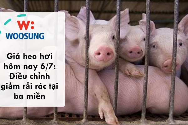 Giá heo hơi hôm nay 6/7: Điều chỉnh giảm rải rác tại ba miền