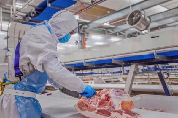 Luật Chăn nuôi mới: Cơ hội và thách thức cho ngành thịt Việt Nam