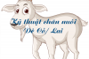 Kỹ thuật chăn nuôi dê cỏ, dê lai