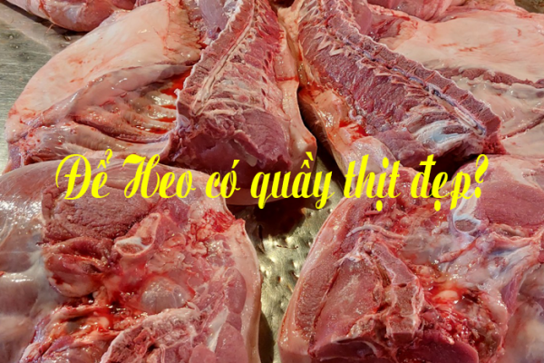 Làm Thế Nào Để Có Quầy Thịt Heo Đẹp Và Chất Lượng?