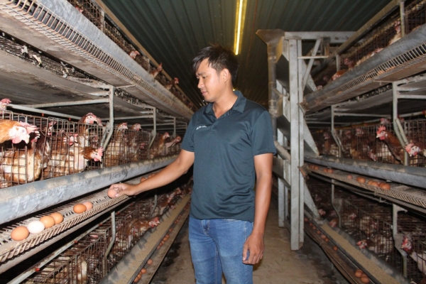 Thu nhập cao nhờ sáng tạo trong chăn nuôi