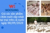 Giá các sản phẩm chăn nuôi cập nhật tại trại trên cả nước ngày 08/09/2020
