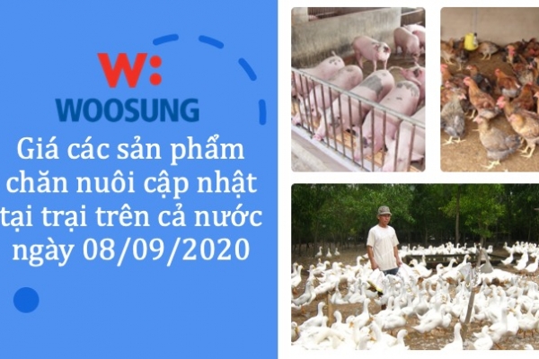 Giá các sản phẩm chăn nuôi cập nhật tại trại trên cả nước ngày 08/09/2020