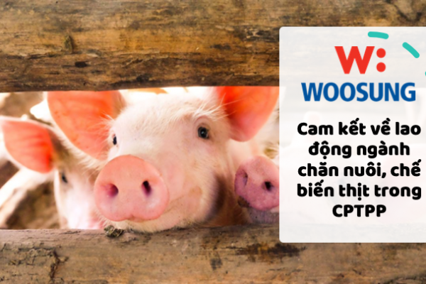 Cam kết về lao động ngành chăn nuôi, chế biến thịt trong CPTPP