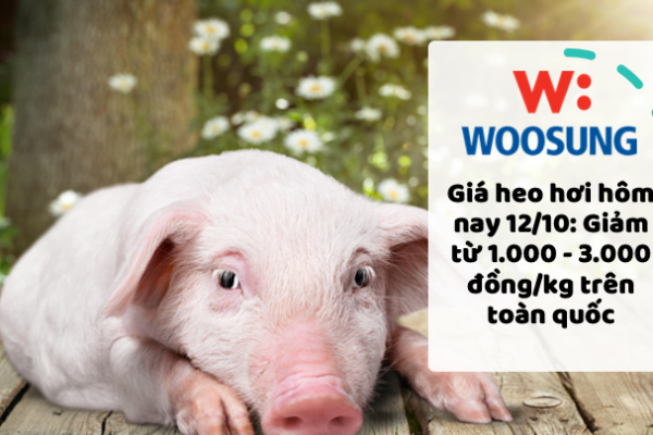 Giá heo hơi hôm nay 12/10: Giảm từ 1.000 - 3.000 đồng/kg trên toàn quốc