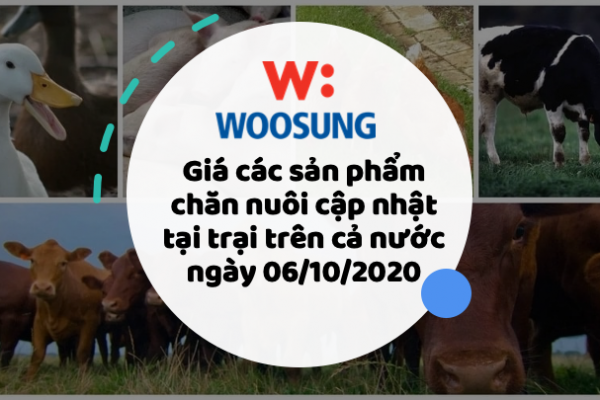 Giá các sản phẩm chăn nuôi cập nhật tại trại trên cả nước ngày 06/10/2020