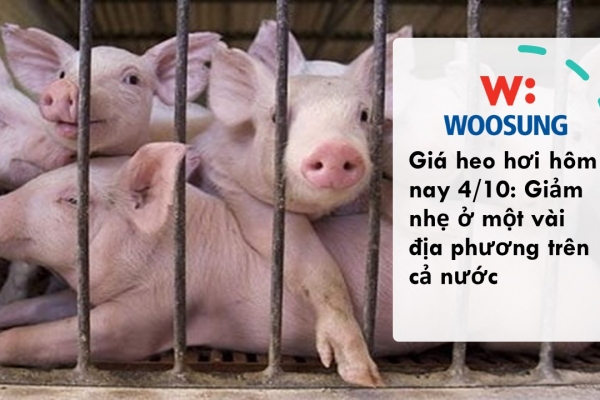 Giá heo hơi hôm nay 4/10: Giảm nhẹ ở một vài địa phương trên cả nước