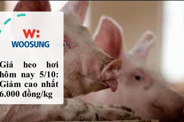 Giá heo hơi hôm nay 5/10: Giảm cao nhất 6.000 đồng/kg