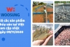 Giá các sản phẩm Thủy sản tại Việt Nam cập nhật ngày 09/11/2020