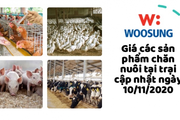 Giá các sản phẩm chăn nuôi tại trại cập nhật ngày 10/11/2020