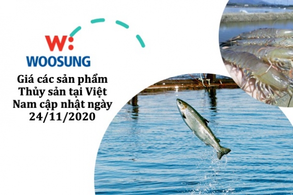 Giá các sản phẩm Thủy sản tại Việt Nam cập nhật ngày 24/11/2020