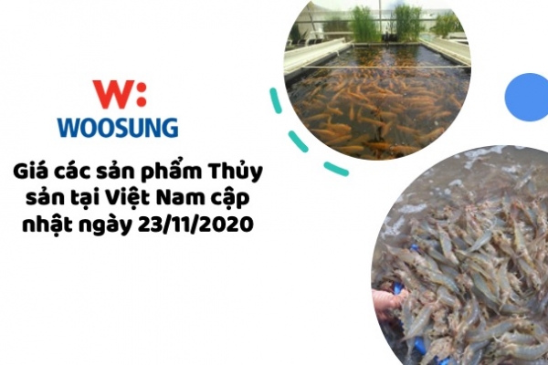 Giá các sản phẩm Thủy sản tại Việt Nam cập nhật ngày 23/11/2020