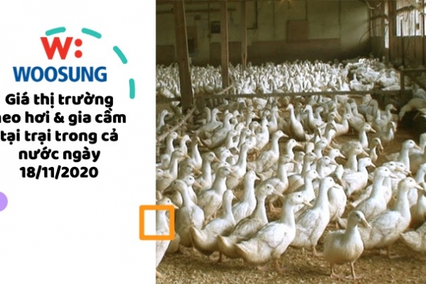 Giá thị trường heo hơi & gia cầm tại trại trong cả nước ngày 18/11/2020