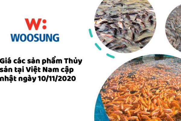 Giá các sản phẩm Thủy sản tại Việt Nam cập nhật ngày 10/11/2020