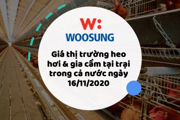 Giá thị trường heo hơi & gia cầm tại trại trong cả nước ngày 16/11/2020