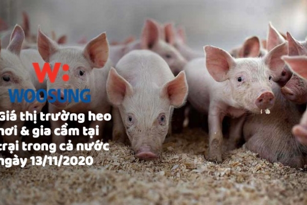 Giá thị trường heo hơi & gia cầm tại trại trong cả nước ngày 13/11/2020