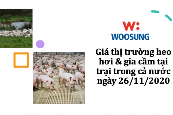 Giá thị trường heo hơi & gia cầm tại trại trong cả nước ngày 26/11/2020