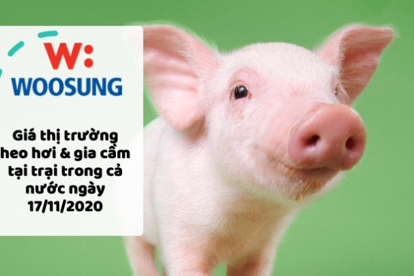 Giá thị trường heo hơi & gia cầm tại trại trong cả nước ngày 17/11/2020