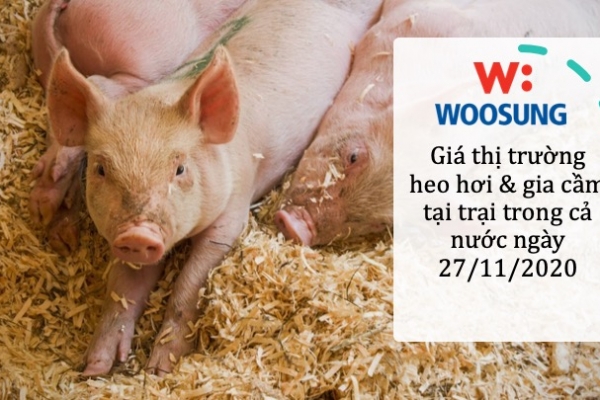 Giá thị trường heo hơi & gia cầm tại trại trong cả nước ngày 27/11/2020