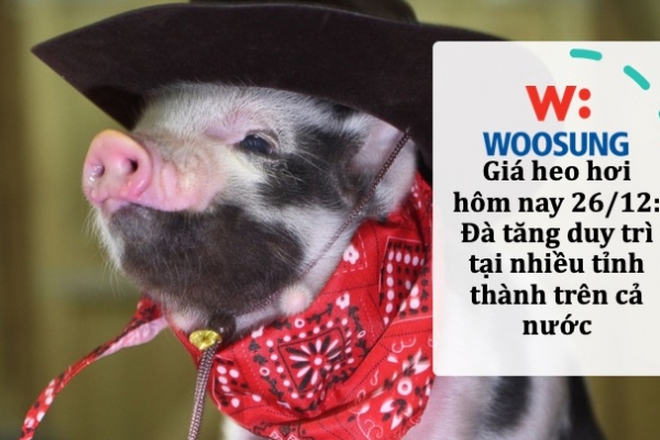Giá heo hơi hôm nay 26/12: Đà tăng duy trì tại nhiều tỉnh thành trên cả nước