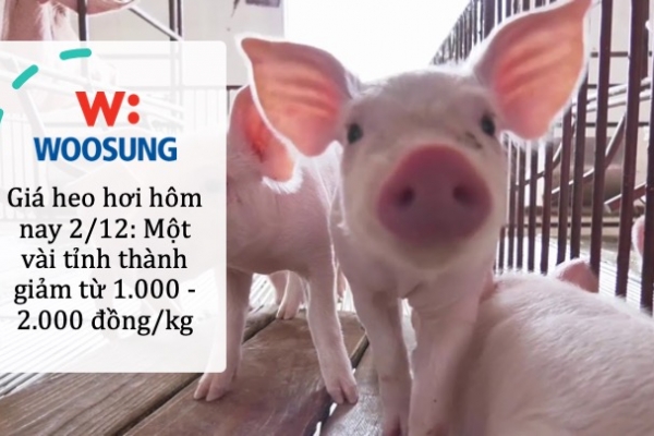 Giá heo hơi hôm nay 2/12: Một vài tỉnh thành giảm từ 1.000 - 2.000 đồng/kg