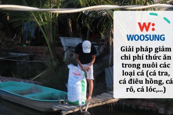 Giải pháp giảm chi phí thức ăn trong nuôi các loại cá