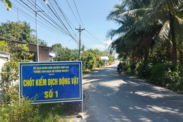 Dịch tả heo Châu Phi có chiều hướng giảm