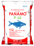 P-40