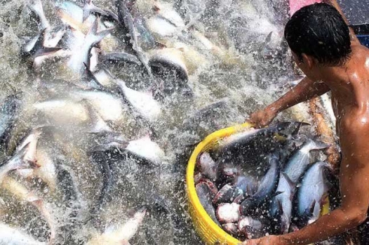 Thức ăn thủy sản